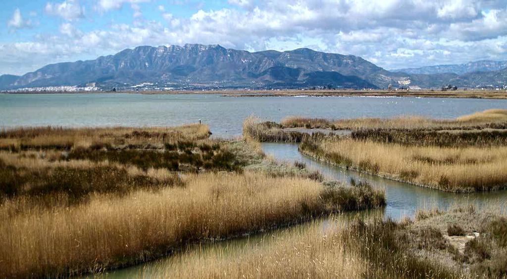 Mi Apartamento en el Delta del Ebro Deltebre Exterior foto