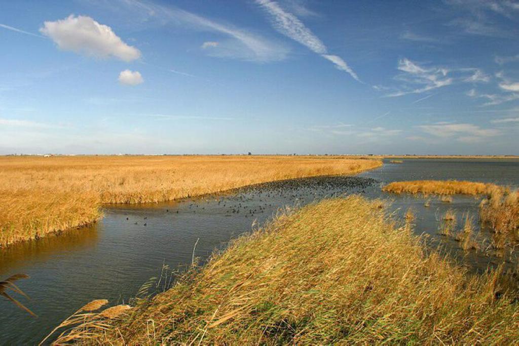 Mi Apartamento en el Delta del Ebro Deltebre Exterior foto