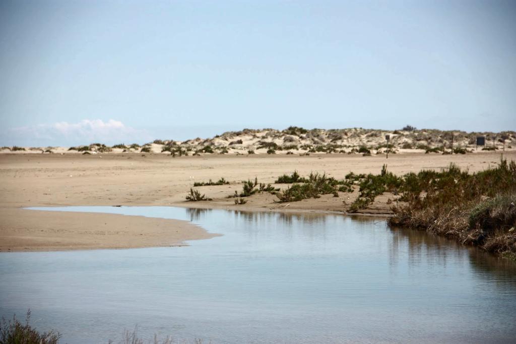 Mi Apartamento en el Delta del Ebro Deltebre Exterior foto