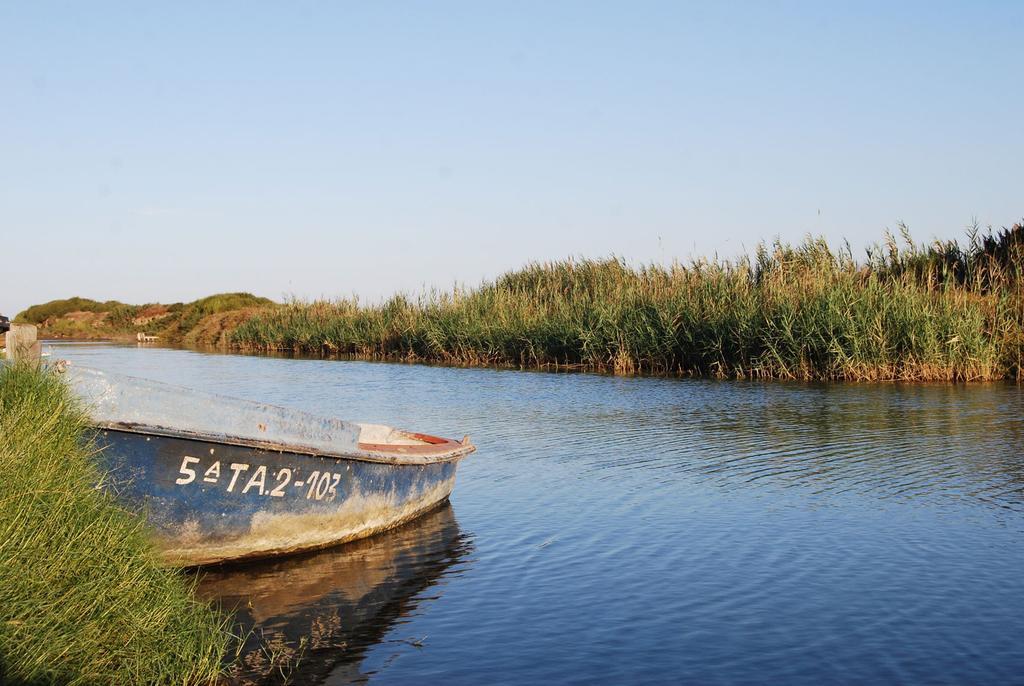 Mi Apartamento en el Delta del Ebro Deltebre Exterior foto