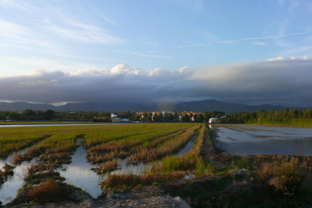 Mi Apartamento en el Delta del Ebro Deltebre Exterior foto
